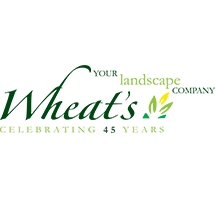 Wheat's Landscape